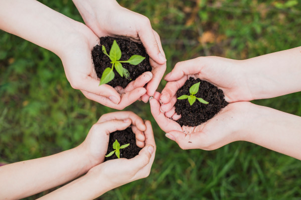 Velamos por la calidad medioambiental