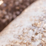 Aplicaciones para pescado congelado