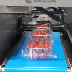 Soluciones de envase