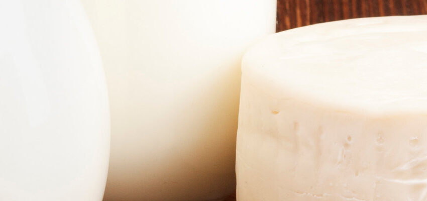 Aplicaciones para lacteos queso y derivados