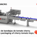 Flow-pack tomate cherry en bandeja