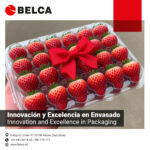 Innovación y Excelencia en el mundo del envasado