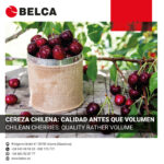 Campaña de cerezas en Chile. Calidad antes que volumen.