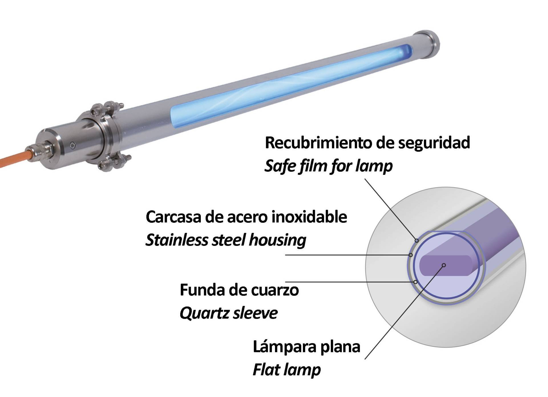 UV STERIBELT